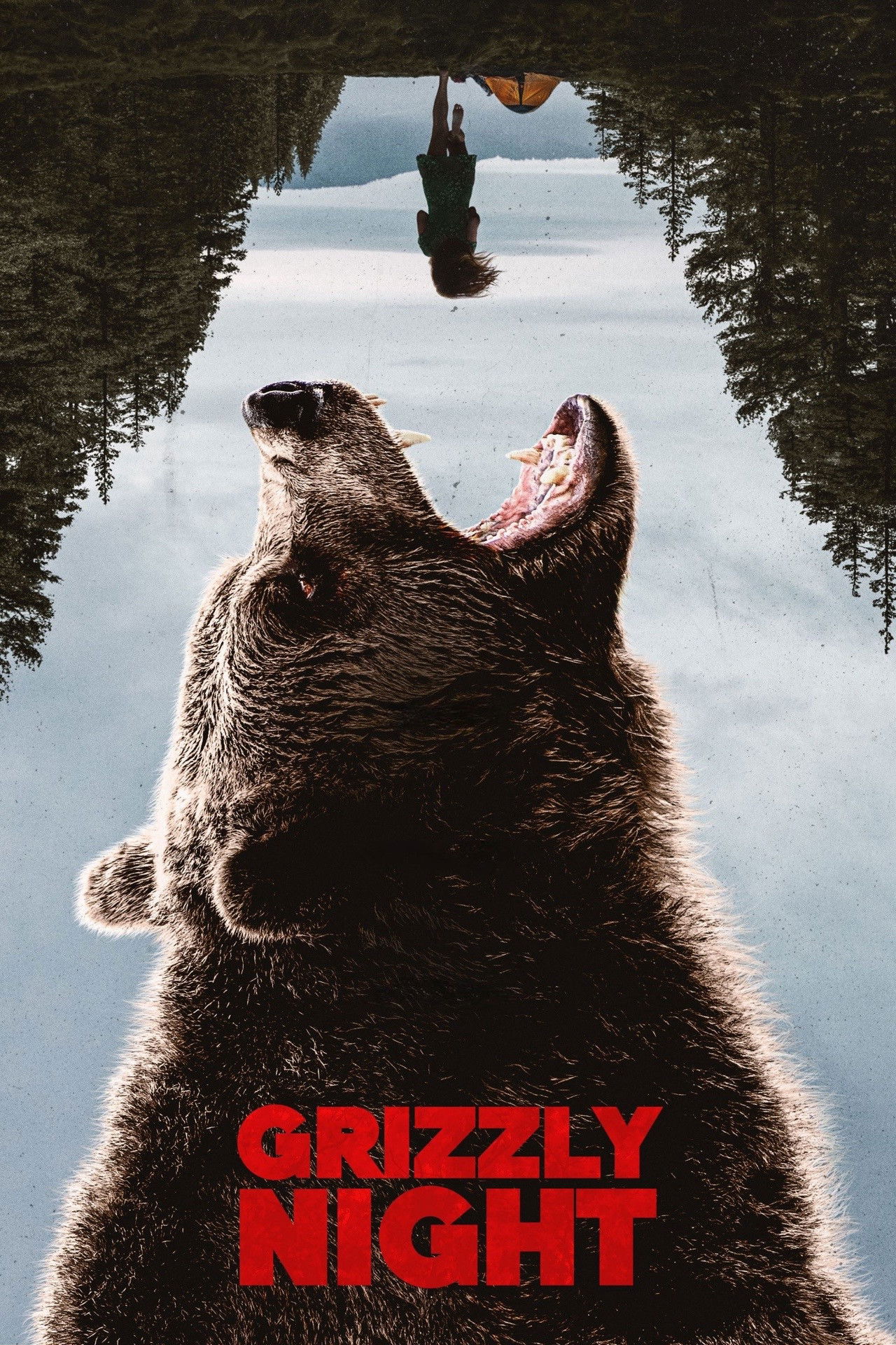 فيلم Grizzly Night 2026 مترجم